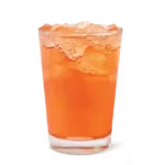 Orange Tangerine Sparkling Quencher