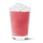 Wildberry Hibiscus Frozen Quencher