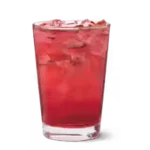 Wildberry Hibiscus Sparkling Quencher